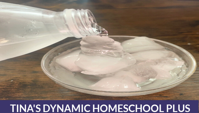 Simple and Easy Instant Ice Kids Activity Homeschool Science Experiments
