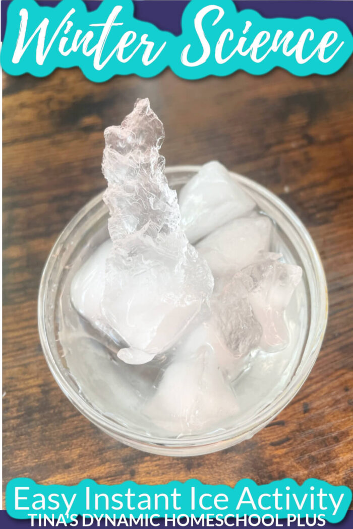 Simple And Easy Instant Ice Kids Activity Homeschool Science Experiments