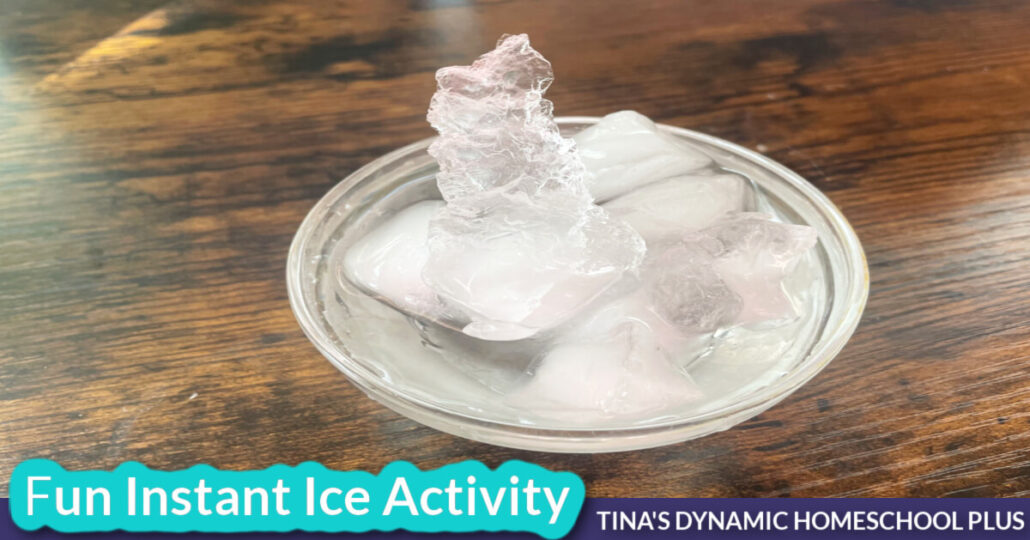 Simple and Easy Instant Ice Kids Activity Homeschool Science Experiments