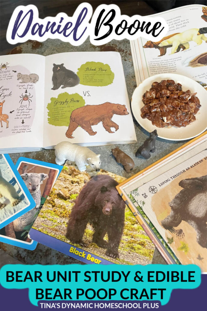 Daniel Boone Explorer Black Bear Unit Study and Fun Edible Bear Poop