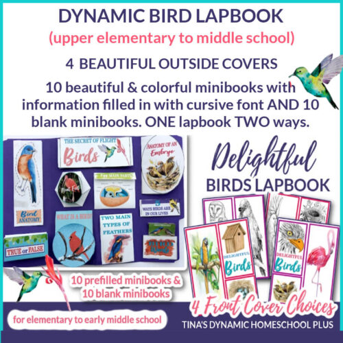 Dynamic Delightful Bird Lapbook for Multiple Ages