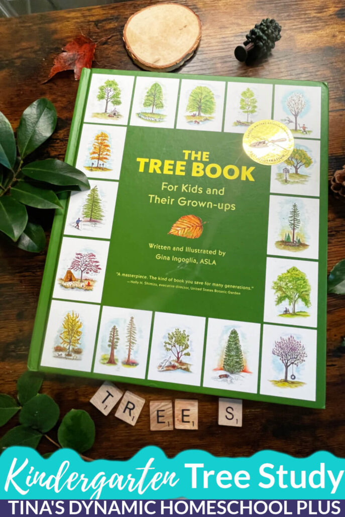 Homeschool Kindergarten Life Science - Hands-on Fun Nature Tree Study