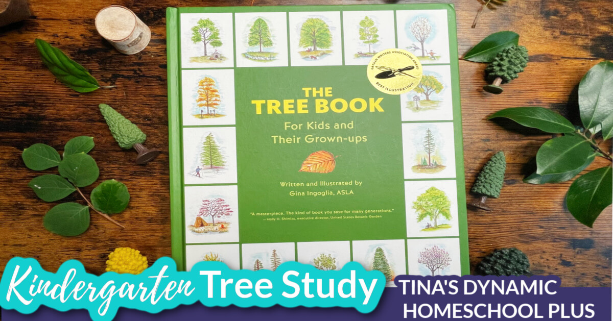 Homeschool kindergarten life science hands on fun nature tree study