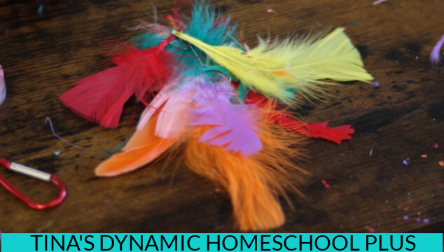 Wildlife in the Amazon Rainforest - Create Fun Macaw and Toucan Crafts