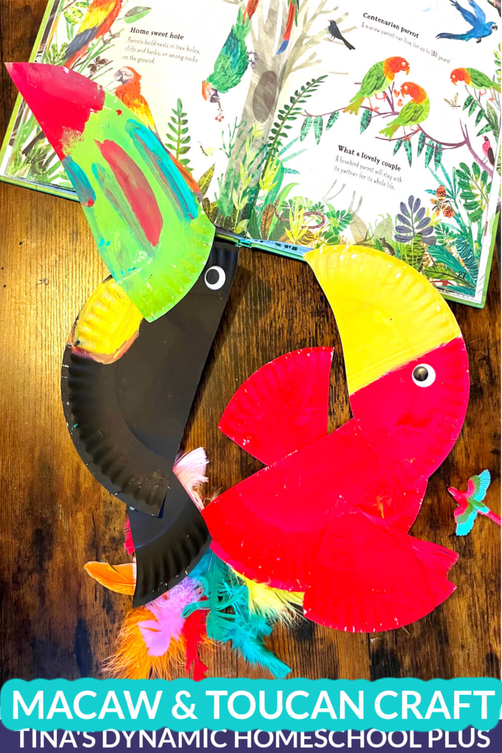 Wildlife in the  Rainforest - Create Fun Macaw and Toucan Crafts