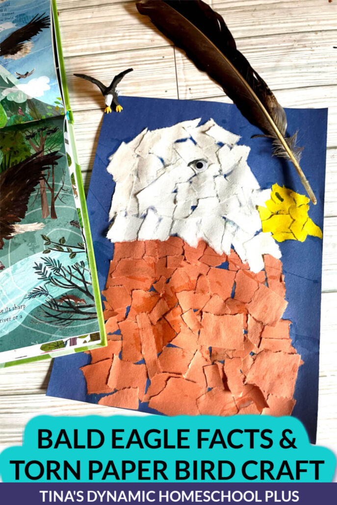 Beautiful Bald Eagle Fun Facts And Torn Paper Bird Craft