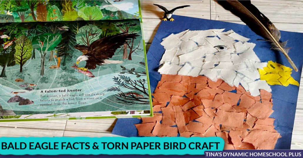 Beautiful Bald Eagle Fun Facts And Torn Paper Bird Craft