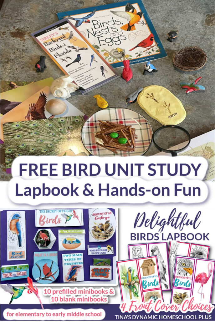 Free Bird Unit Study and Lapbook And Fun Edible Bird Nests