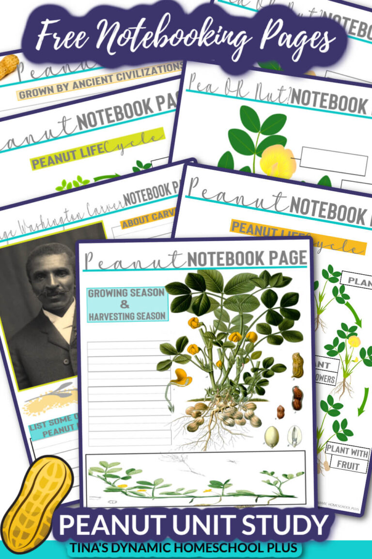 George Washington Carver Fun Peanut Quick Unit Study & Notebooking Pages