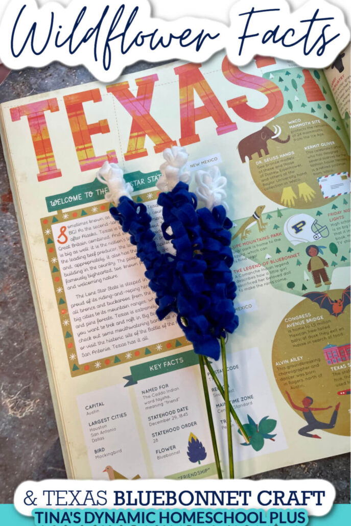 Facts About Wildflowers And a Fun Felt Texas Bluebonnet Craft