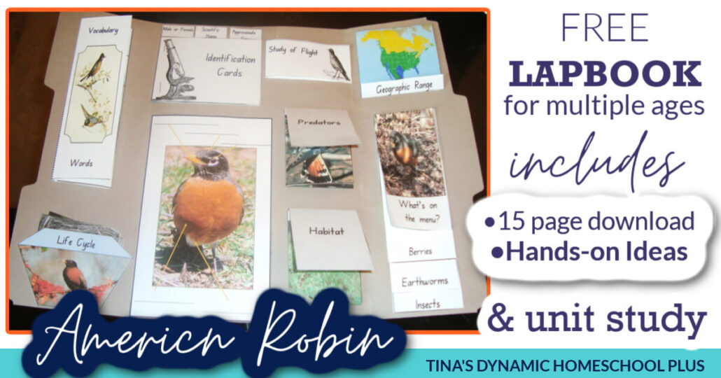 Free North American Robin Bird Lapbook and Fun Homeschool Unit Study Ideas