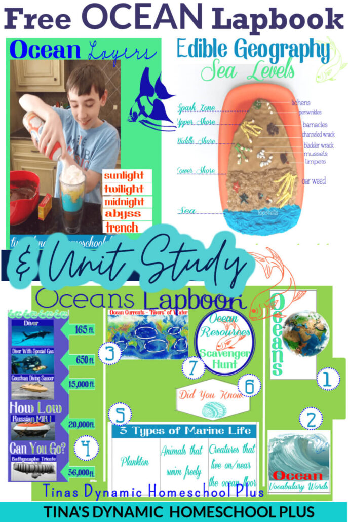 Free Ocean Lapbook and Fun Homeschool Unit Study Ideas