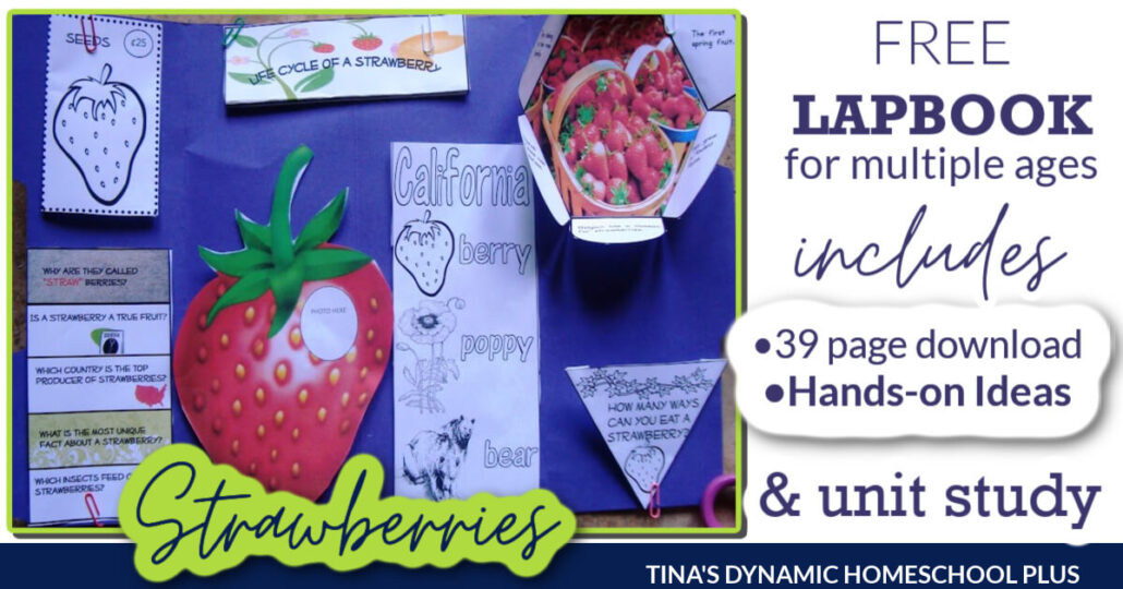 Free Printable Strawberries Lapbook and Fun Homeschool Unit Study Ideas