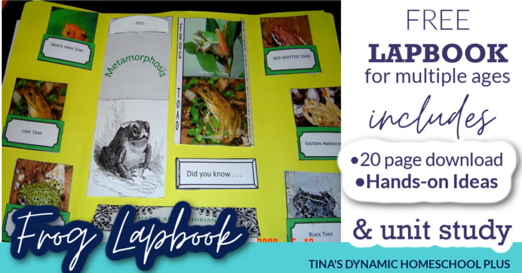 Free Toad and Frog Lapbook and Fun Homeschool Unit Study Ideas