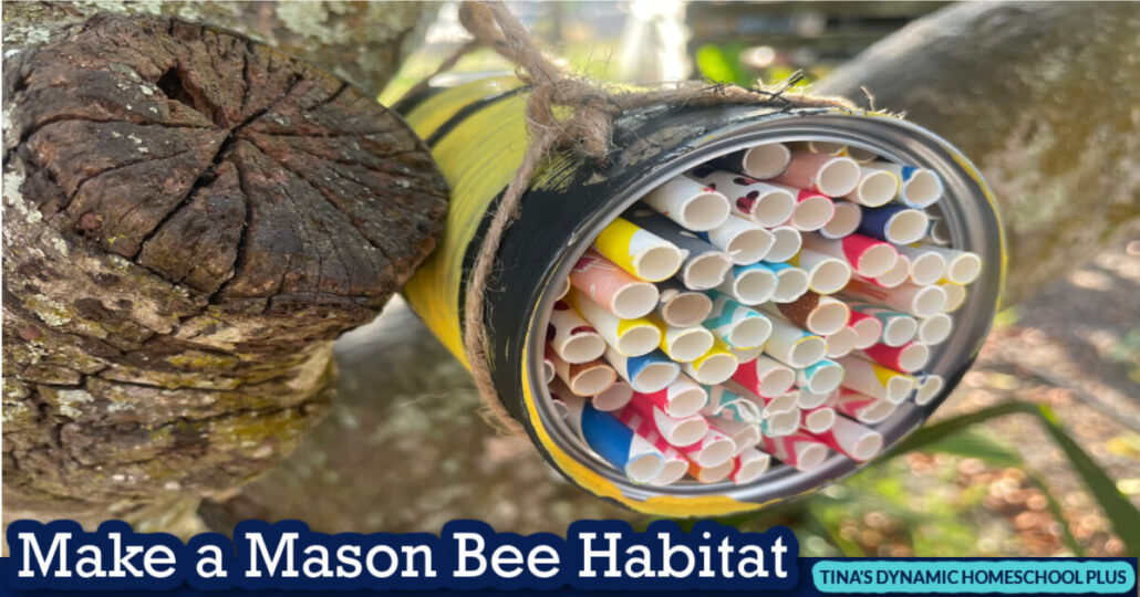 Fun Hands-On Bee Activities for Kids Make a Mason Bee Habitat