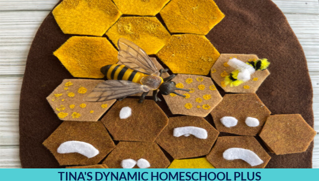 7 Honey Bee Activities And Explore a Bee Hive With Felt Activity