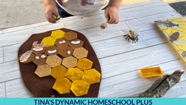 7 Honey Bee Activities And Explore a Bee Hive With Felt Activity