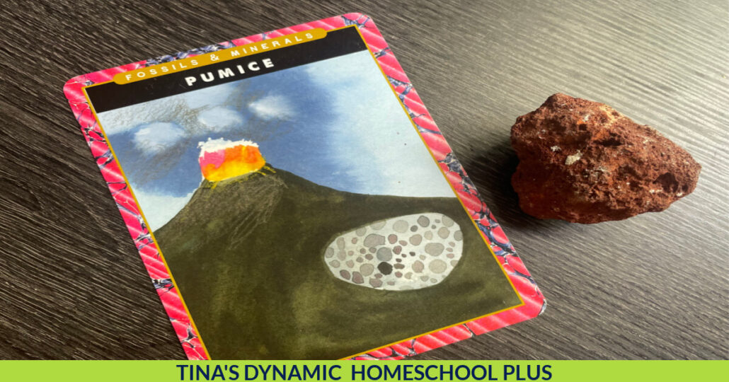 Free Homeschool Volcano Unit Study and Fun Apple Volcano