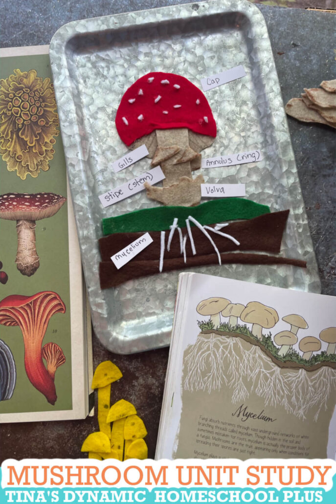 Fun Hands-on Free Mushroom Unit Study and Kids Learning Activities