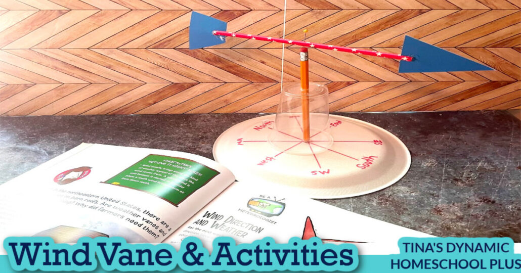 How to Make a Simple Wind Vane | Fun Wind Activities Middle School
