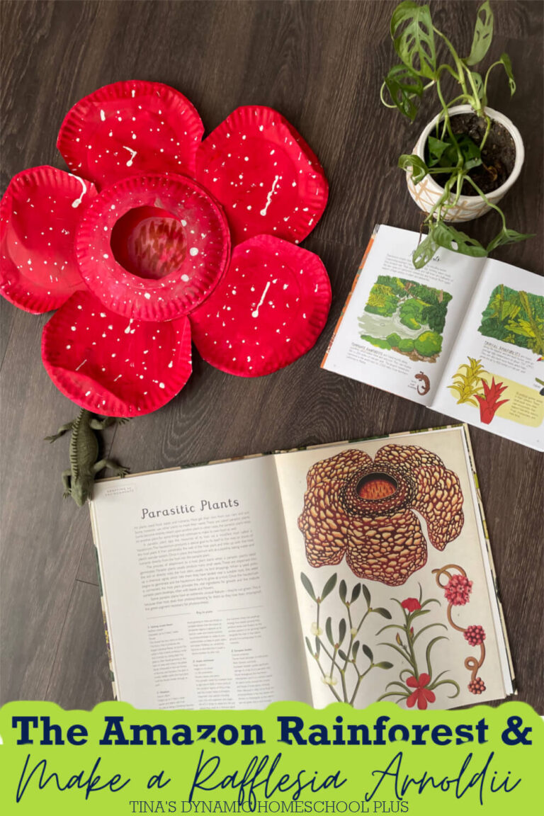 10 Plant Life in The Amazon Rainforest Facts and Make a Fun Rafflesia