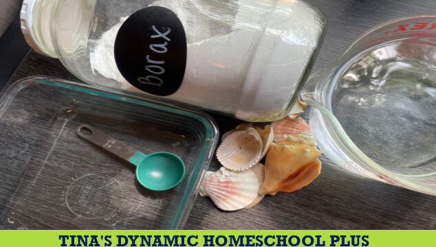 10 Sea Shell Activities for Kids and Make Crystal Sea Shells