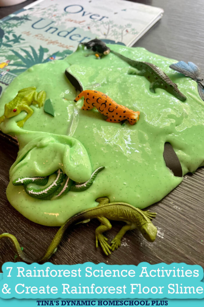 7 Cool Rainforest Science Activities and Create Rainforest Floor Slime