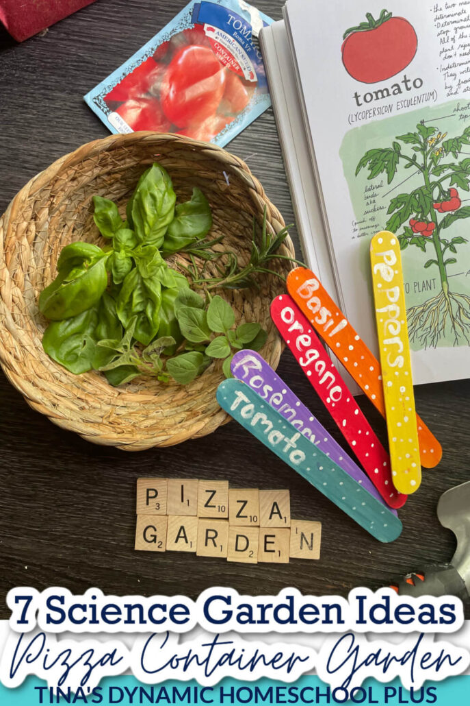 7 Science Garden Ideas and Make a Pizza Container Garden