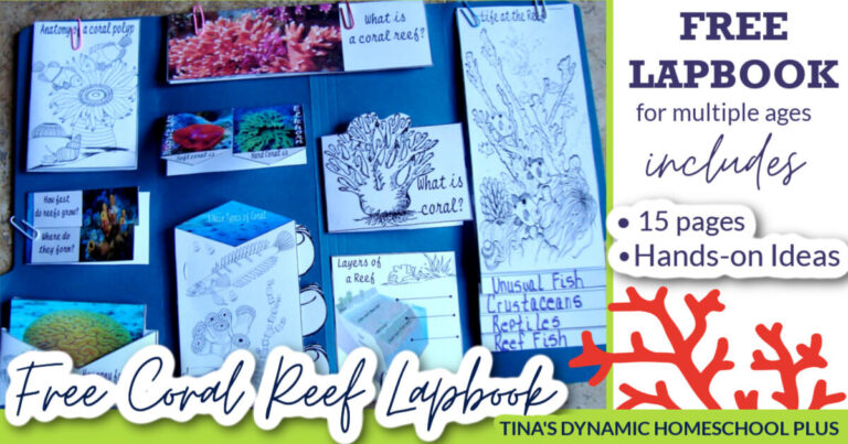 Fun Homeschool Coral Reef Printable Lapbook and Hands-on Unit Study Ideas