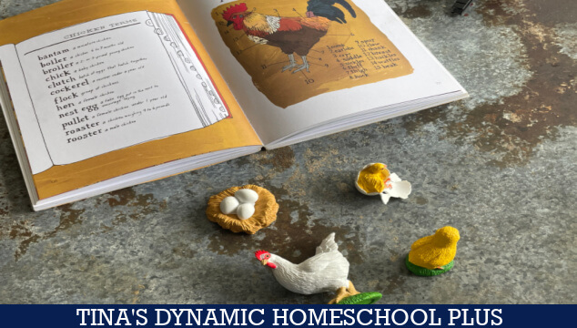 Free Homeschool Chicken Unit Study and Anatomy of an Egg Felt Activity