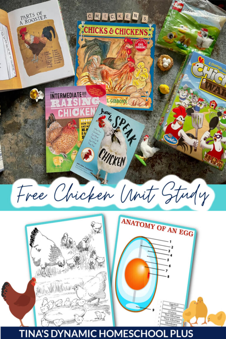 Free Homeschool Chicken Unit Study and Anatomy of an Egg Felt Activity ...