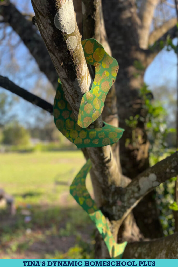 Fun Easy Amazon Rainforest Crafts and Make a Bubble Wrap Pattern Anaconda