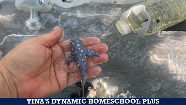 How Do Sharks Float STEM Activity Free Shark Unit Study & Notebooking Pages