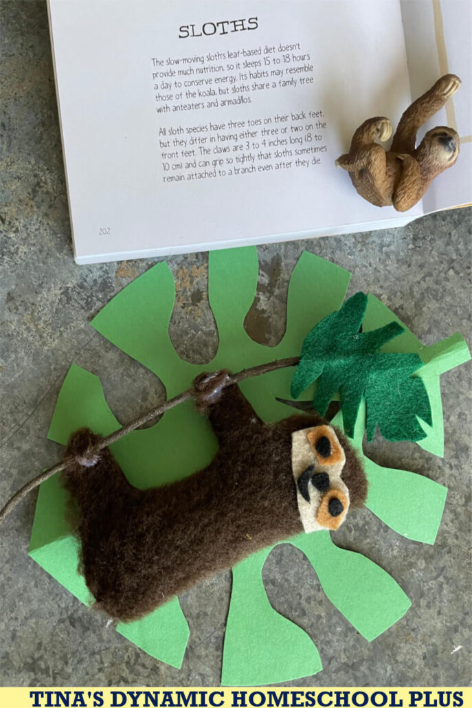 Learn About Mammals In The Amazon Rainforest & Make an Adorable Sloth Craft