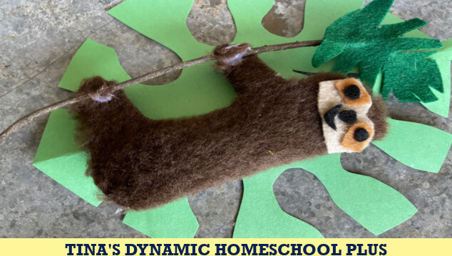 Learn About Mammals In The Amazon Rainforest & Make an Adorable Sloth Craft