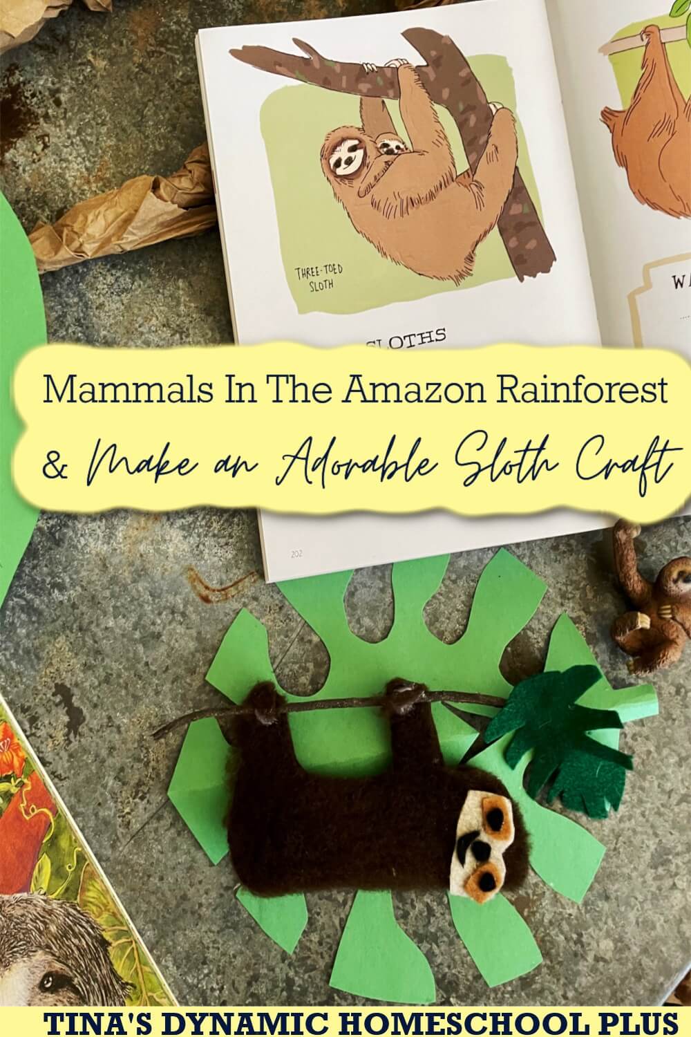 Learn About Mammals In The Amazon Rainforest & Make an Adorable Sloth Craft