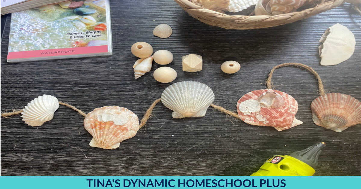 Easy Seashell Crafts for Kids - The Activity Mom
