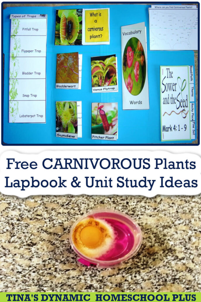 Free Carnivorous Plants Lapbook and Fun Homeschool Unit Study Ideas