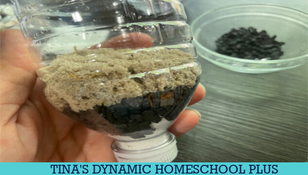Free Swiss Family Robinson Unit Study And Easy DIY Water Filter