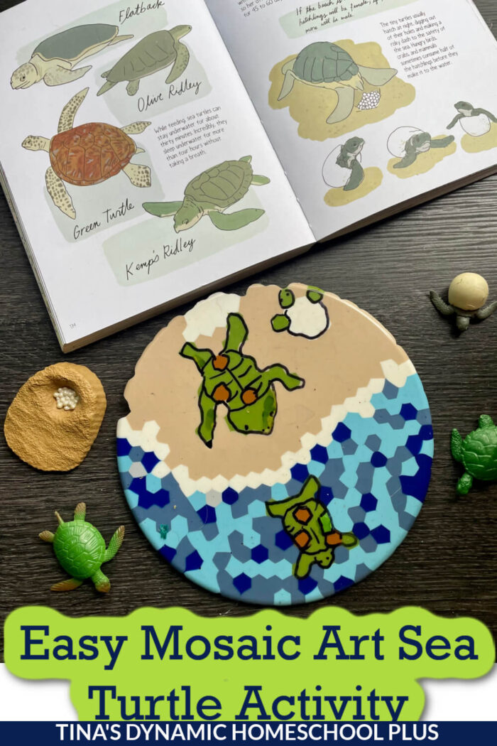 Turtle Making Activity Fun and Easy Mosaic Art Sea Turtle Activity For Kids