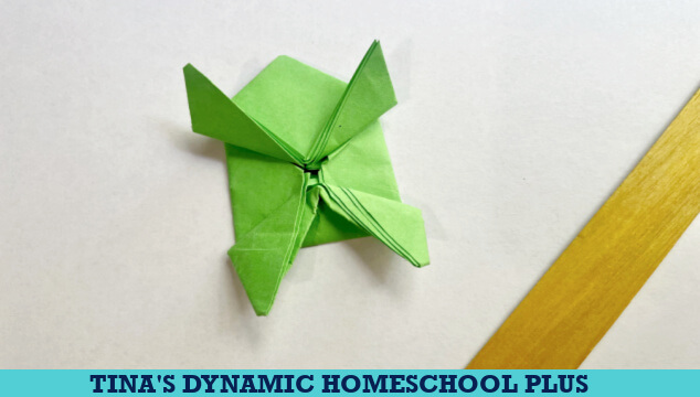 How to Make A Fun Origami Frog Amazon Rainforest Craft