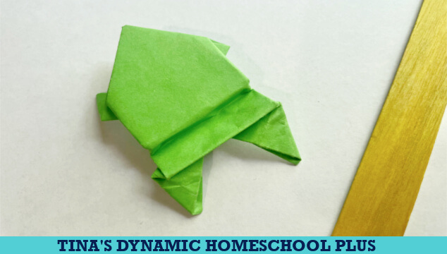 How to Make A Fun Origami Frog Amazon Rainforest Craft