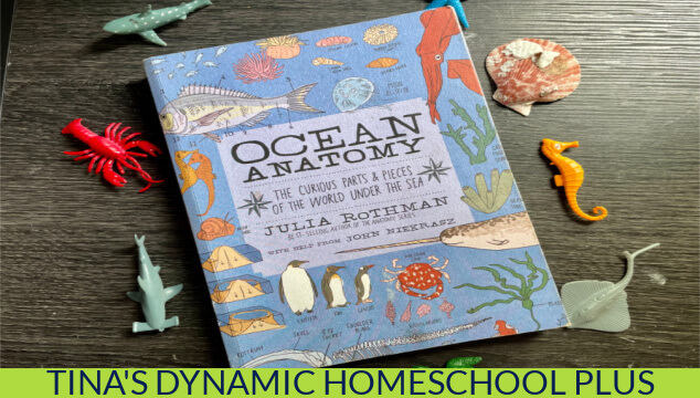 Ocean Anatomy: The Puzzle (500 pieces) by Julia Rothman