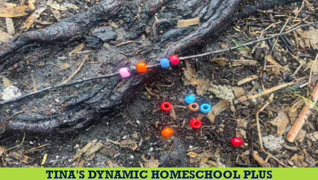15 Hands-On Nature Math Ideas to Make Learning Come to Life