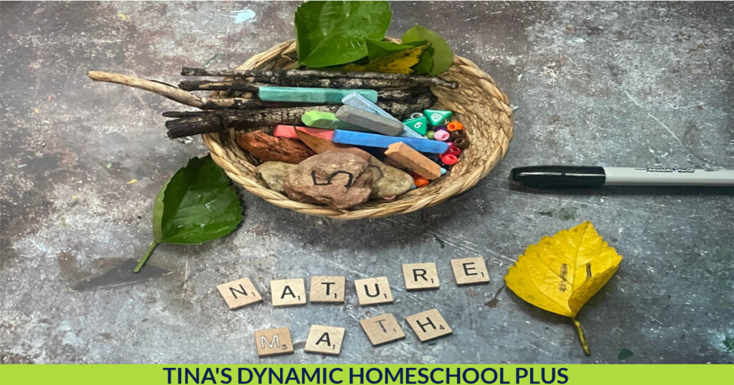 15 Hands-On Nature Math Ideas to Make Learning Come to Life