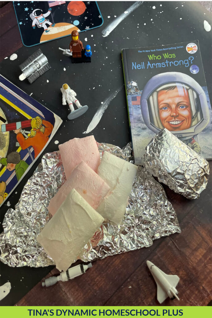 5 Facts About The Moon Landing and Make Fun Astronaut Ice Cream