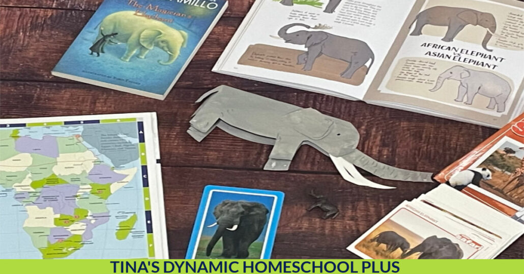 8 Facts about African Elephants and a Cute Paper Plate Elephant