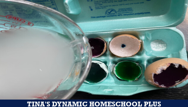 Free Homeschool Geology Unit Study And Easy DIY Eggshell Geode