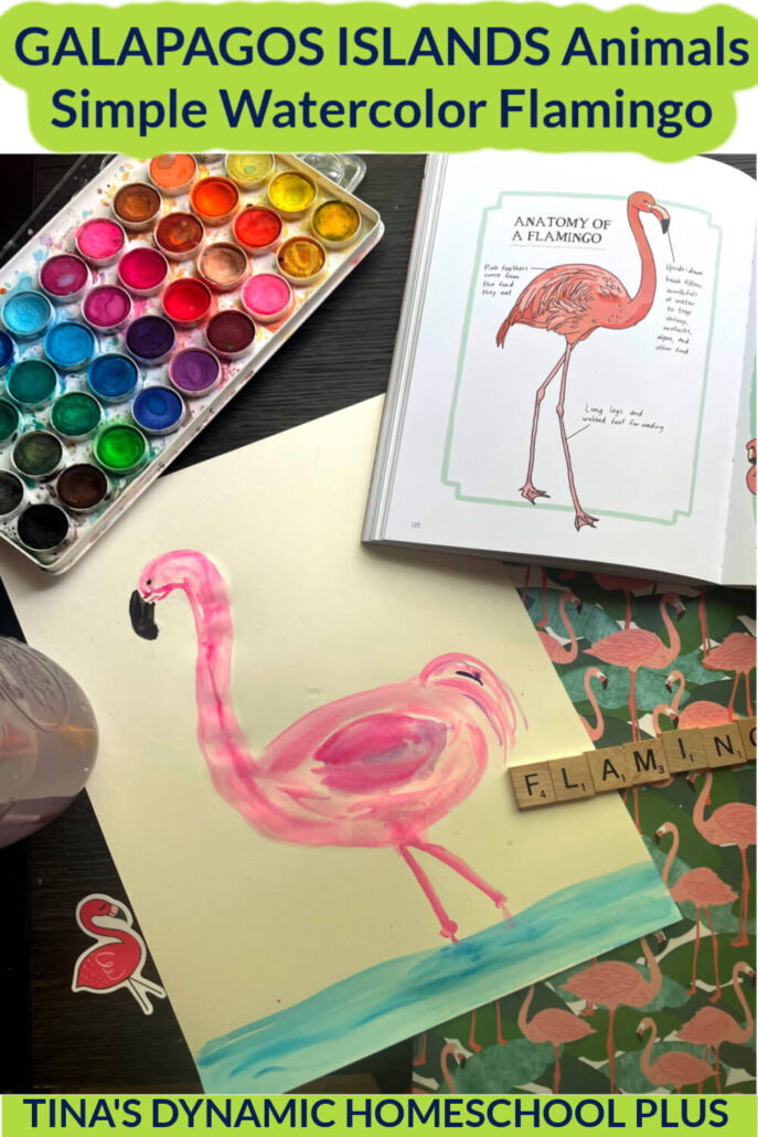 Galapagos Islands Animals Fun and Simple Watercolor Flamingo Tutorial