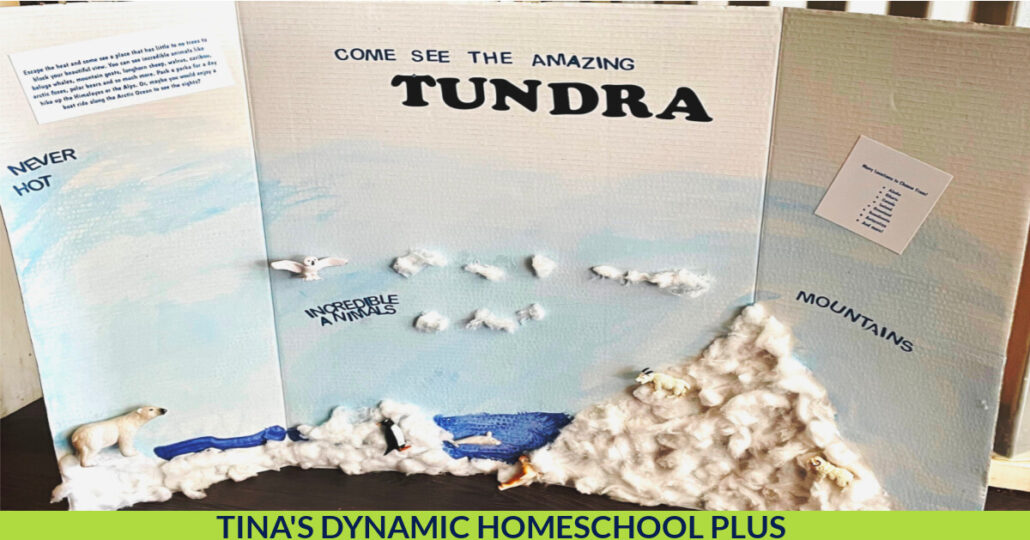 How to Make an Easy 3D Tundra Biome Poster Project